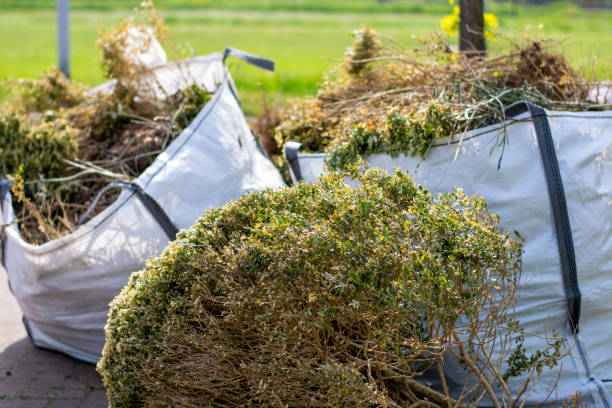 Best Junk Hauling Services  in Marion, IL